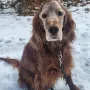 Lenzi 14 Jahre und 10 Monate