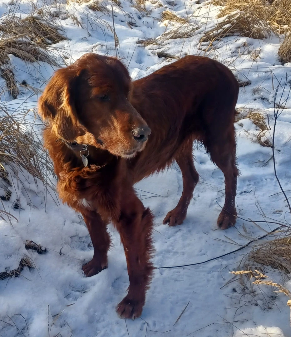 Paco Rabanne kurz bevor er über die Regenbogenbrücke gegangen ist 