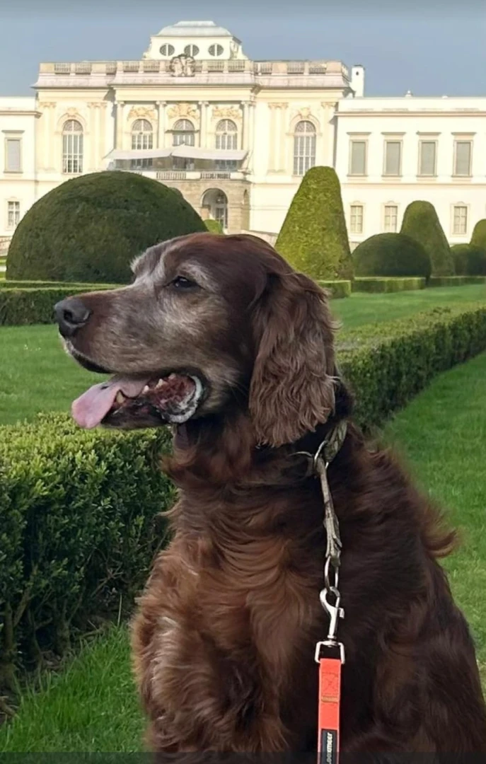 ZoBrey mittlerweile 7 Jahre jung
