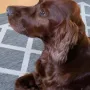 ZoBrey 3 Jahre