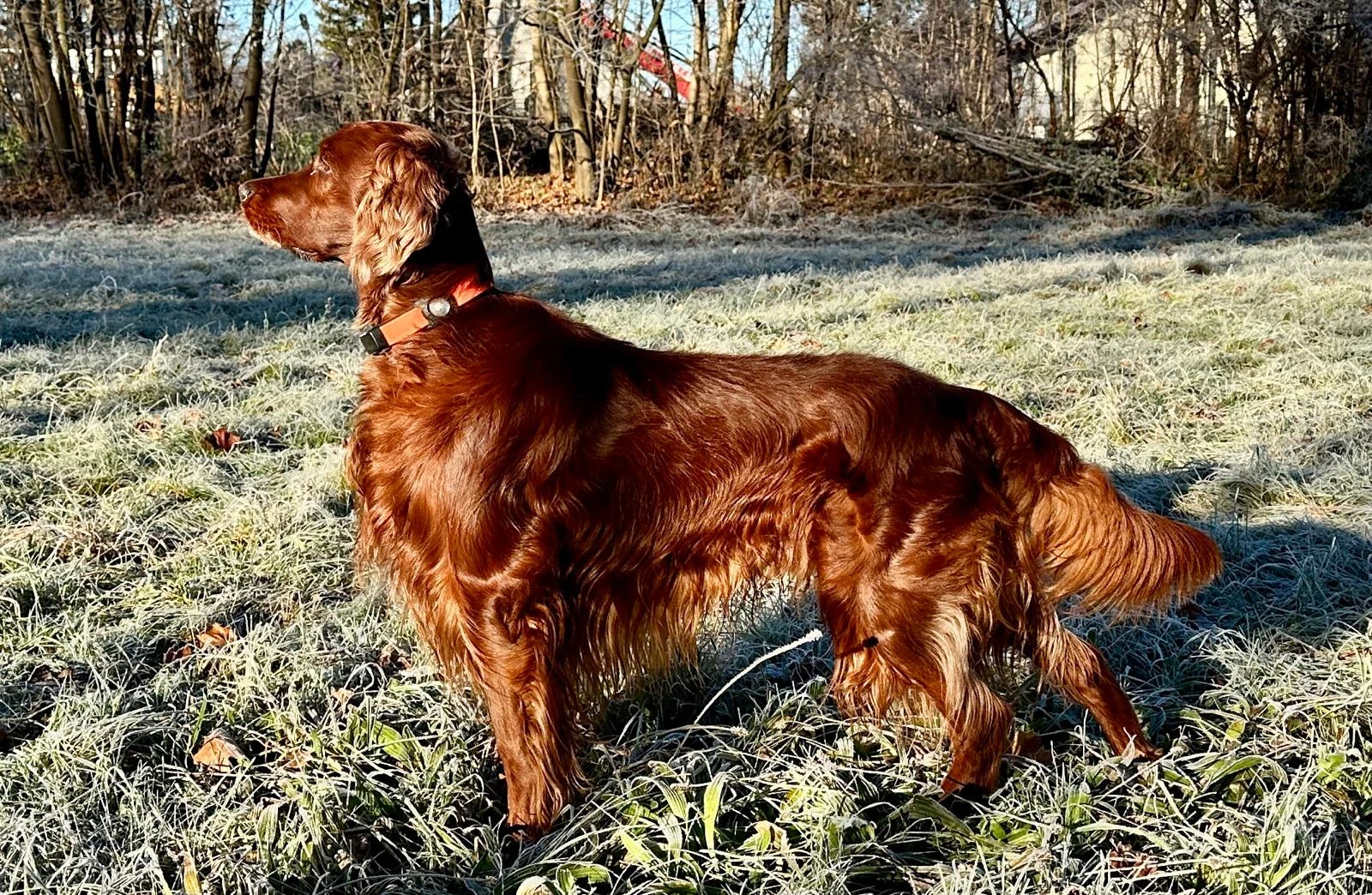 Erko im Dezember 2025