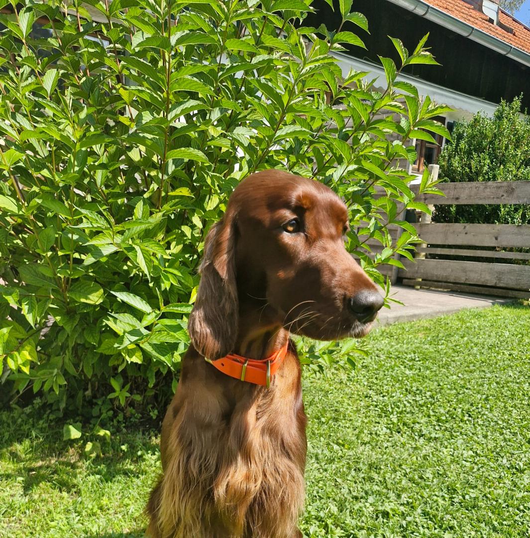 Frau Leitner vom Gebirgsjägerhof