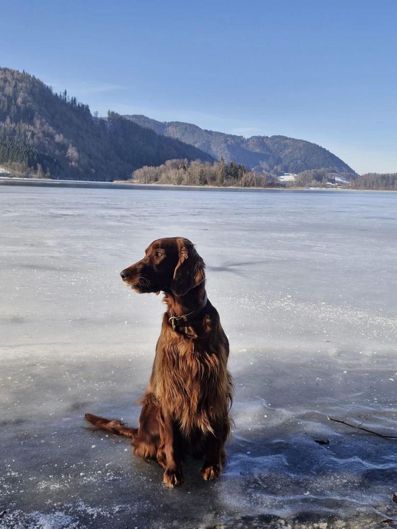 Frau Leitner wieder auf Eis am Schliersee