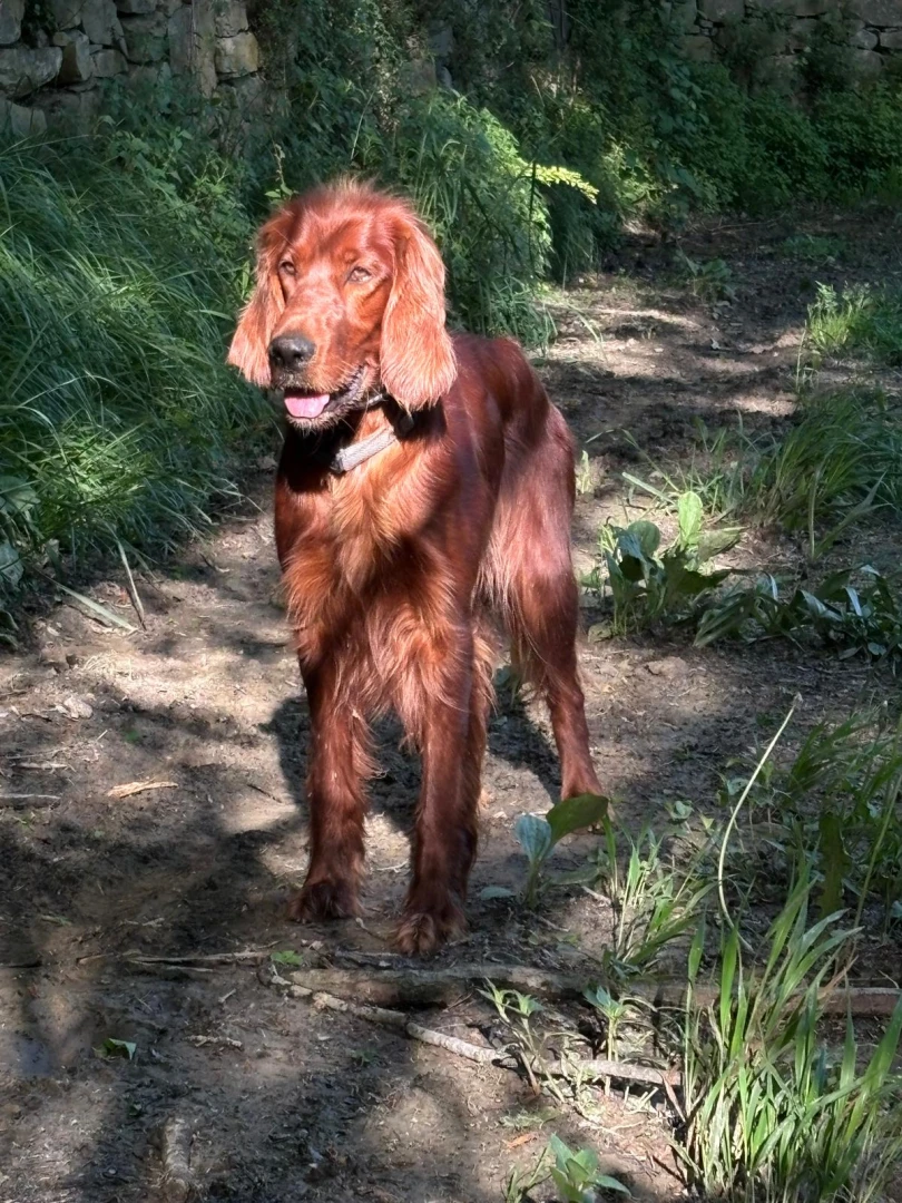 Finess 2,5 Jahre, wir freuen uns sehr über das erste Bild von Finess