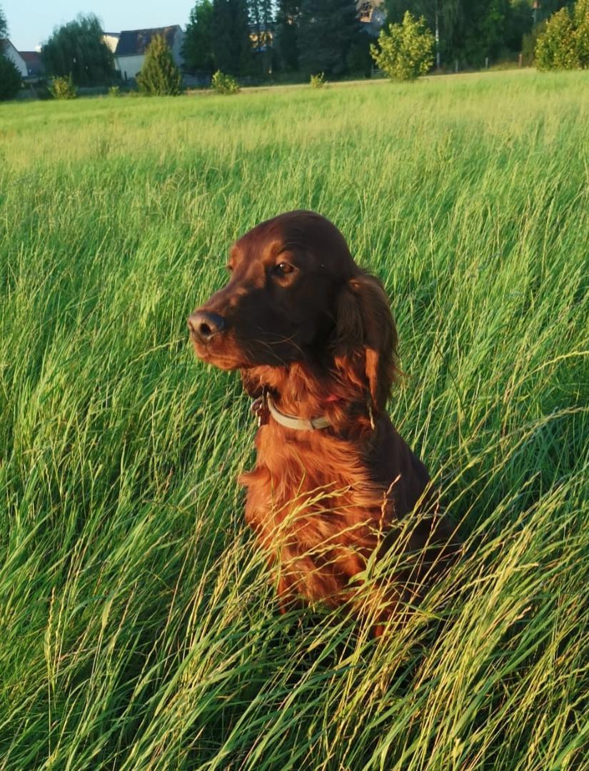 Gorgeous Betty