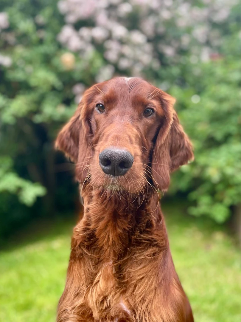 Juniper jetzt 1 Jahr jung