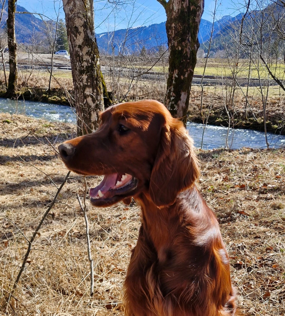 Jay nun 9 Monate jung