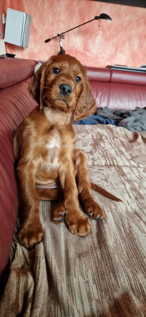 Das 1. Bild im neuen Zuhause