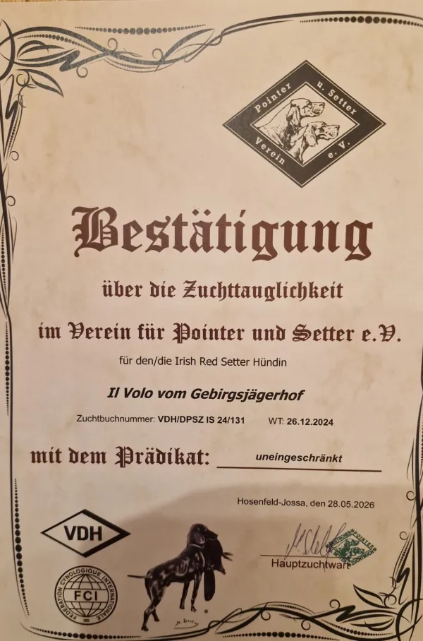 Zuchttauglichkeitsurkunde.JPEG