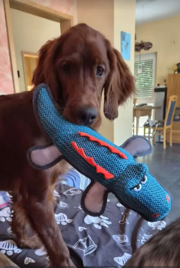Krampus_9.jpeg