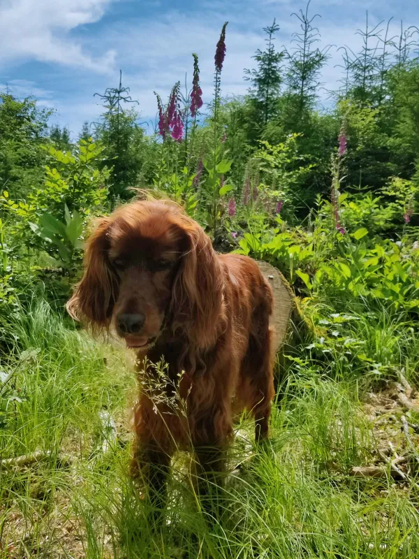 Rani_30.jpeg