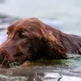 Frau Leitner, Wasser ist ihre Freude und Stärke 